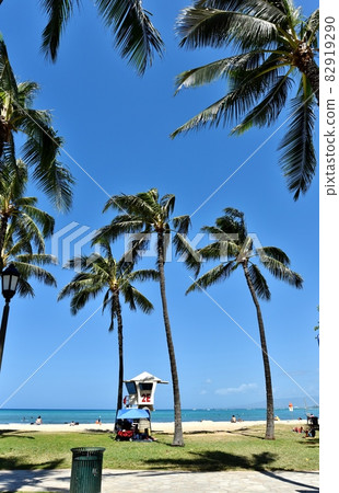 夏威夷的假期 夏威夷的假期 82919290