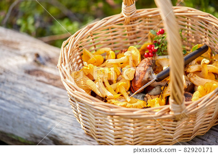 close up of mushrooms in basket in forest 82920171