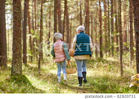 grandmother and granddaughter picking mushrooms grandmother and granddaughter picking mushrooms 82920731