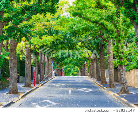 Tokyo Denenchofu 82922147