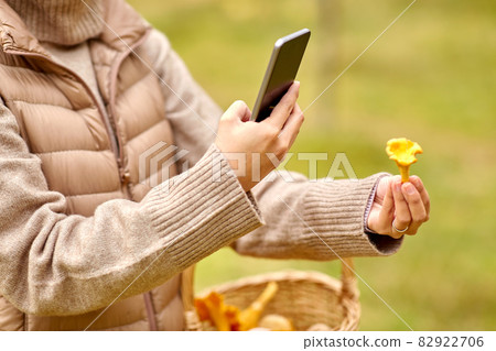 woman using smartphone to identify mushroom 82922706