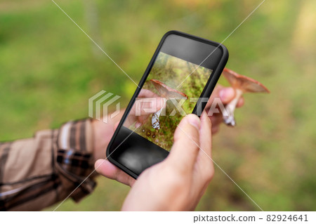 hands using smartphone app to identify mushroom 82924641