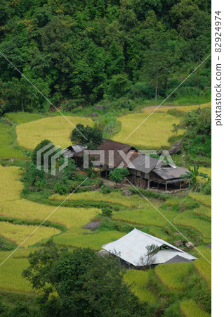 Rice fields on terraced of Mu Cang Chai, YenBai, Vietnam. Beautiful landscapes with mountain hills valley. Rice fields on terraced beautiful shape. Paddy rice terraces in countryside 82924974