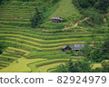 Rice fields on terraced of Mu Cang Chai, YenBai, Vietnam. Beautiful landscapes with mountain hills valley. Rice fields on terraced beautiful shape. Paddy rice terraces in countryside 82924979