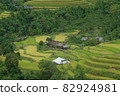 Rice fields on terraced of Mu Cang Chai, YenBai, Vietnam. Beautiful landscapes with mountain hills valley. Rice fields on terraced beautiful shape. Paddy rice terraces in countryside 82924981