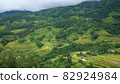 Rice fields on terraced of Mu Cang Chai, YenBai, Vietnam. Beautiful landscapes with mountain hills valley. Rice fields on terraced beautiful shape. Paddy rice terraces in countryside 82924984