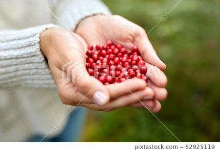 close up of young woman holding berries in hands close up of young woman holding berries in hands 82925119