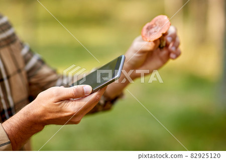 hands using smartphone app to identify mushroom hands using smartphone app to identify mushroom 82925120