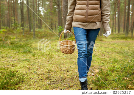 young woman picking mushrooms in autumn forest young woman picking mushrooms in autumn forest 82925237