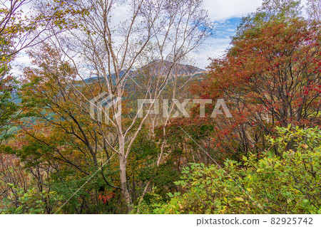 (Fukushima Prefecture) Bandai-Azuma Skyline (Tengu no Niwa) Autumn Leaves and Azuma Kofuji (Fukushima Prefecture) Bandai-Azuma Skyline (Tengu no Niwa) Autumn Leaves and Azuma Kofuji 82925742
