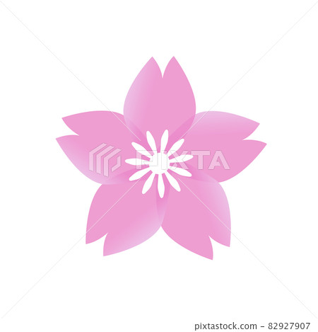 簡單的粉紅櫻花花圖 82927907