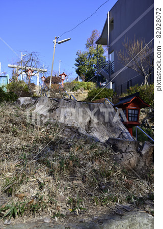 Narimasu Sugawara Shrine Narimasu Sugawara Shrine 82928072