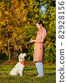 Golden retriever puppy in orange bandana sits on grass and looks at girl in pink raincoat in autumn park. Dog and it's master. Dog training outside 82928156