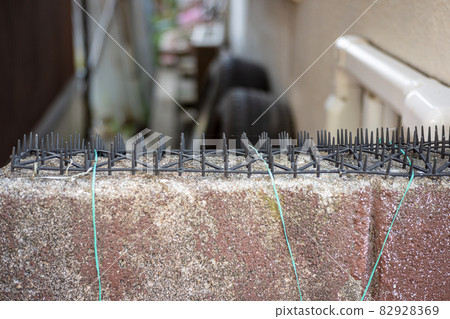 A spiked mat to keep pigeons and cats away (to prevent droppings) installed on an old block wall in a back alley of a house 82928369
