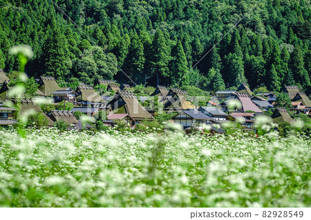 Kyoto Prefecture, Miyama Kayabuki no Sato Autumn 82928549