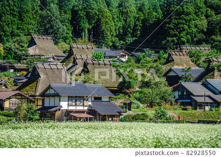 Kyoto Prefecture, Miyama Kayabuki no Sato Autumn 82928550