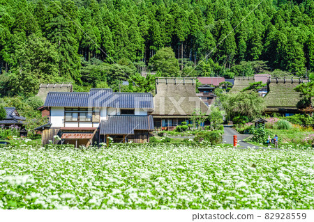 Kyoto Prefecture, Miyama Kayabuki no Sato Autumn 82928559