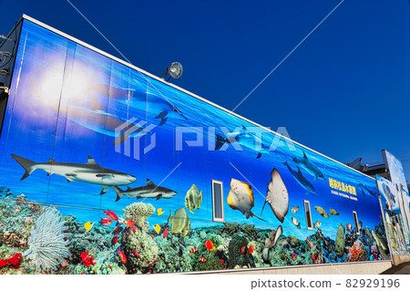 Echizen Matsushima Aquarium 82929196