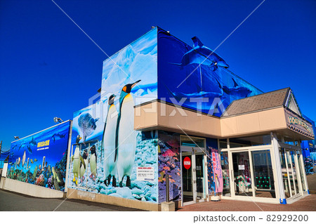 Echizen Matsushima Aquarium 82929200