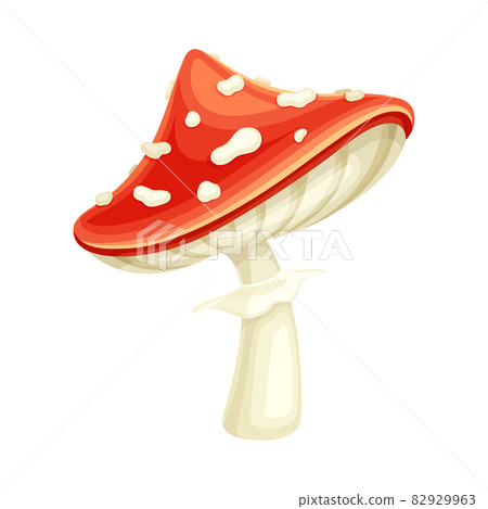 Red poisonous forest Amanita mushroom vector illustration on white background 82929963
