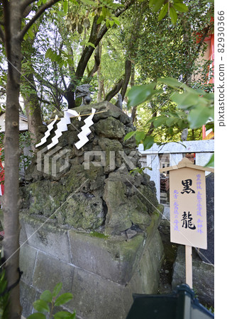 Tanashi Shrine Kokuryu God 82930366
