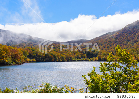 晨霧中的菅川湖 82930583