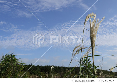 秋天的天空和沖洗 秋天的天空和沖洗 82930797