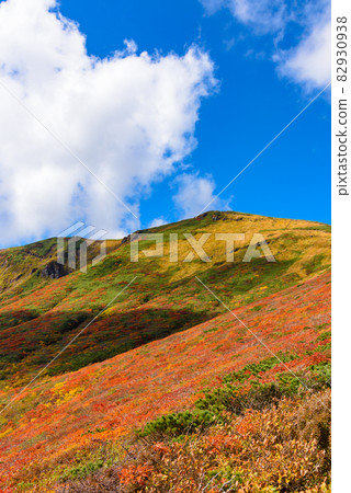Mt. Kurikoma God's Carpet Mt. Kurikoma God's Carpet 82930938