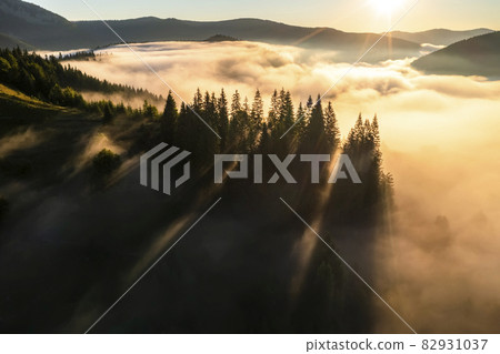 Aerial view of foggy sunrise in the mountains. Carpathian mountains. Aerial view of foggy sunrise in the mountains. Carpathian mountains. 82931037