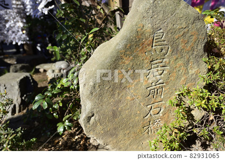 田無神社龍神池鳥居石橋前 田無神社龍神池鳥居石橋前 82931065