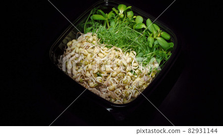 Plate with sprouted seeds of pea, bean, mung Plate with sprouted seeds of pea, bean, mung 82931144