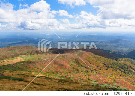 栗駒山神的地毯 栗駒山神的地毯 82931410