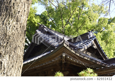 田無神社海傳 82931412