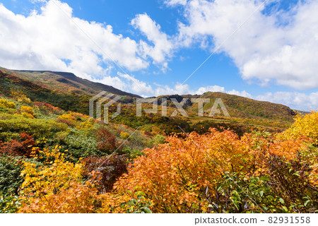 栗駒山 82931558