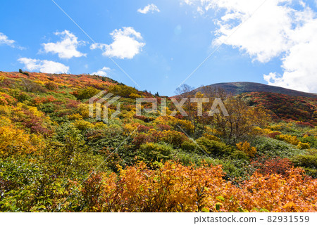 栗駒山 82931559