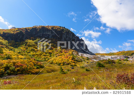 栗駒山 82931588