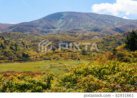 栗駒山 82931661