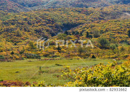 栗駒山 82931662