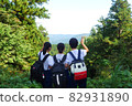 Girl looking at the scenery 82931890