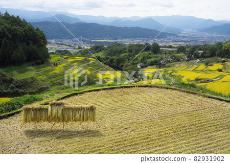 Beautiful scenery of the rice terraces in autumn during the harvest season Beautiful scenery of the rice terraces in autumn during the harvest season 82931902