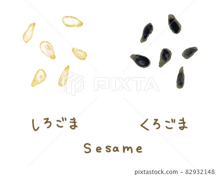 Black and white illustration set of sesame drawn with watercolor materials 82932148