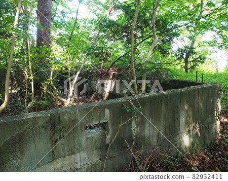 在長廊上發現的廢墟的基礎知識 在長廊上發現的廢墟的基礎知識 82932411