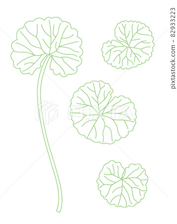 積雪草線描插圖 82933223