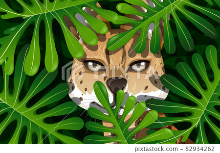 Caracal hidden in the jungle Caracal hidden in the jungle 82934262