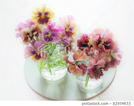 Antique color frilled pansies Antique color frilled pansies 82934633