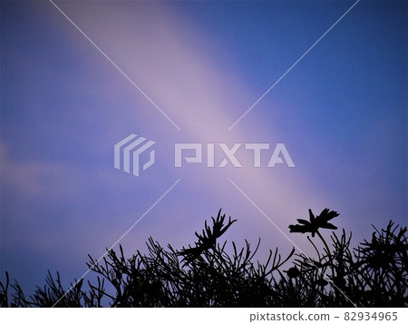 Beam-like clouds that appear to come from small shadow-play flowers Beam-like clouds that appear to come from small shadow-play flowers 82934965