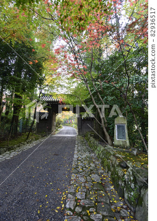 Sekizan Zenin 秋葉在山門 82936517