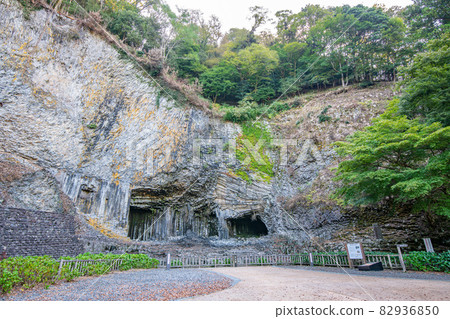 Genbudo, a nationally designated natural memorial in Toyooka City, Hyogo Prefecture 82936850
