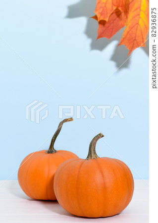Two ripe pumpkins on a blue background with maple leaves.  82936875