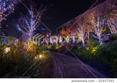Illuminations of Namba Parks Illuminations of Namba Parks 82937565
